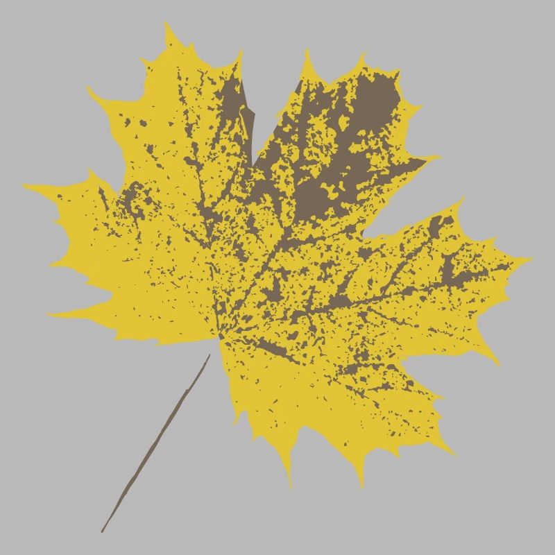 Yellow maple leaf