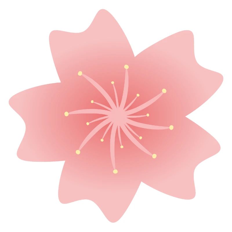 Fleur de sakura rose