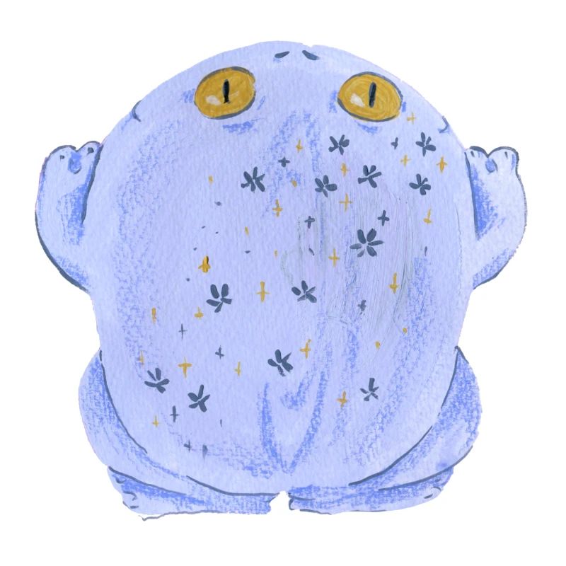 Crapaud grenouille au pastel