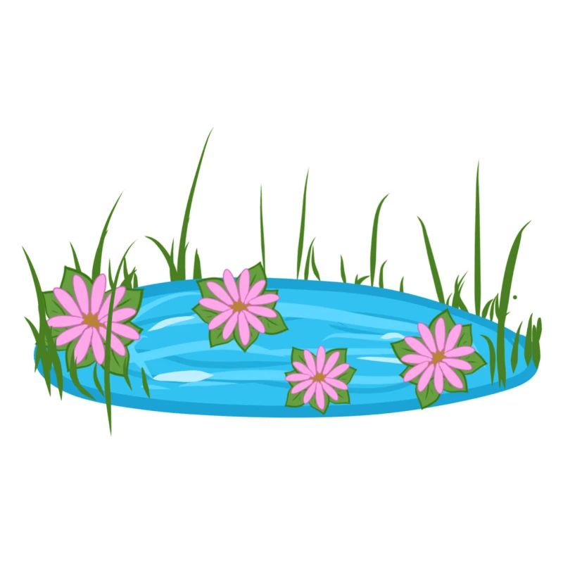 Étang Puddle Nature Fleurs Eau