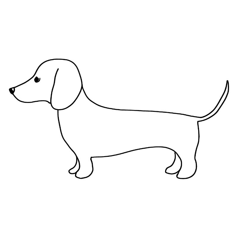 Mignon teckel au trait fin sur blanc