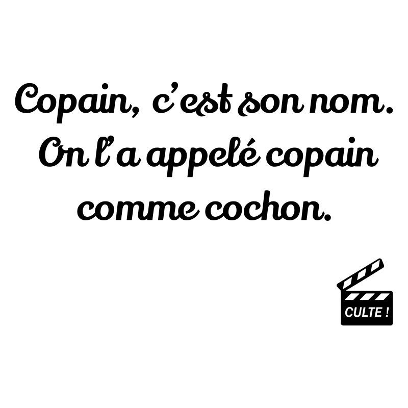 Copain comme cochon ! Les Bronzés font du ski
