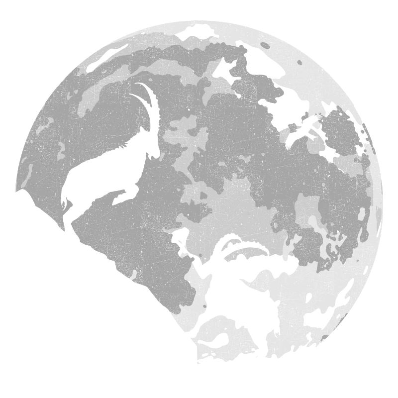 Steinbock