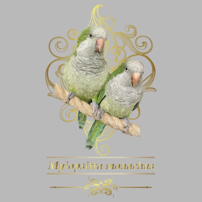 Perruche d’Argentine