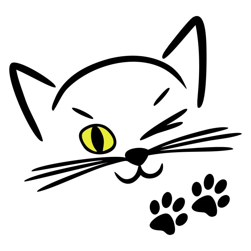 chat mignon, clin d'oeil