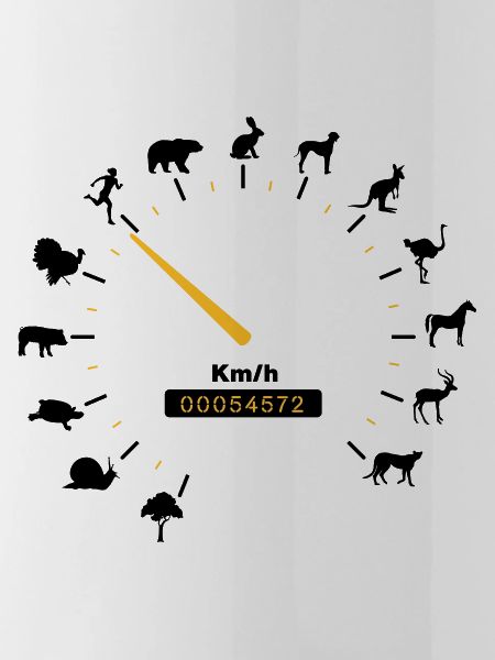 tachometer