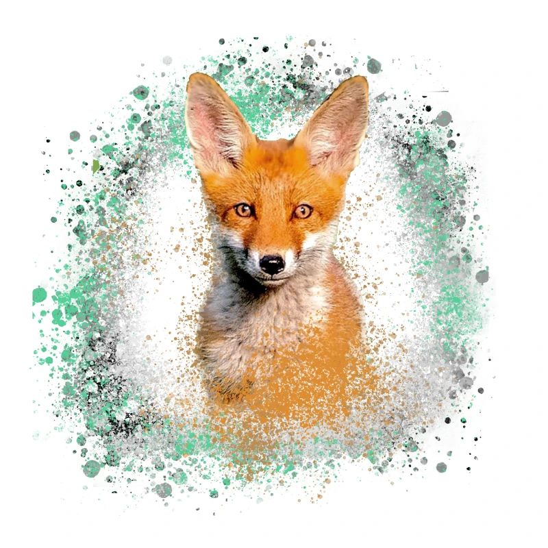 fuchs ,Graffiti, Malerei,fuchs ,aquarell