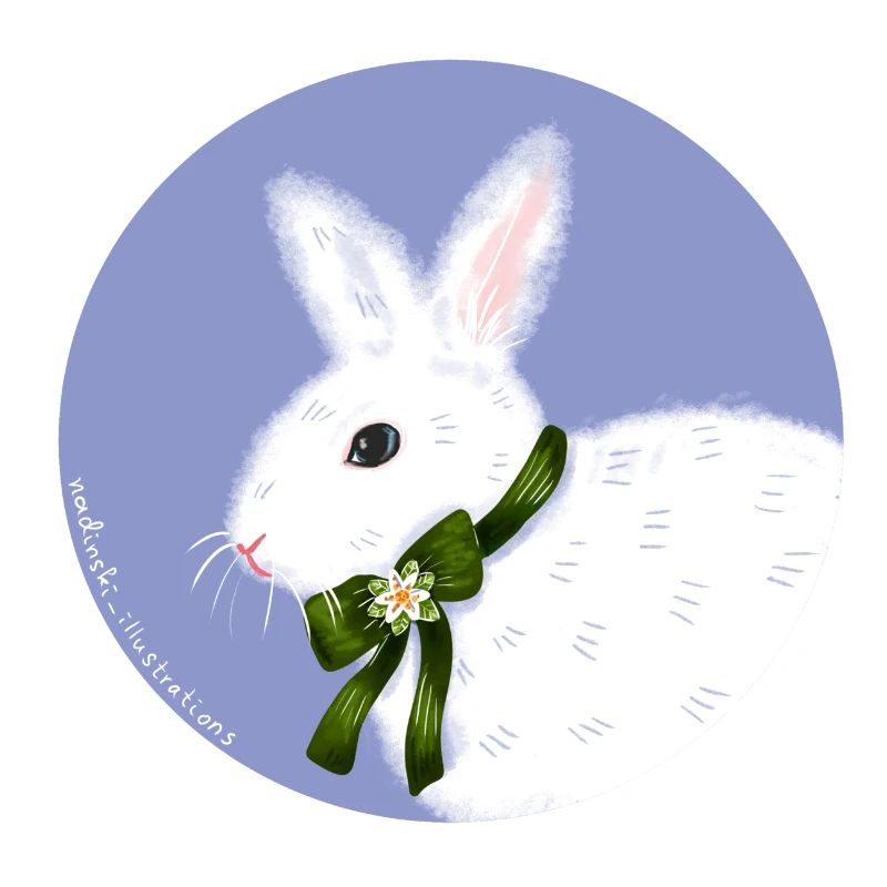 Lapin blanc