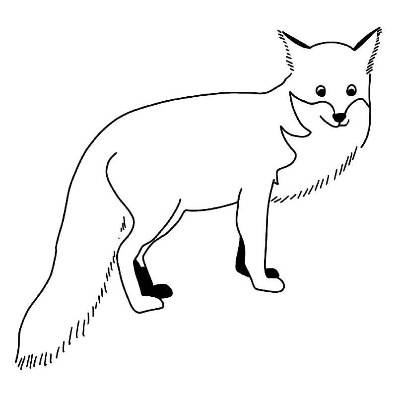 Fox - graphic in black and white