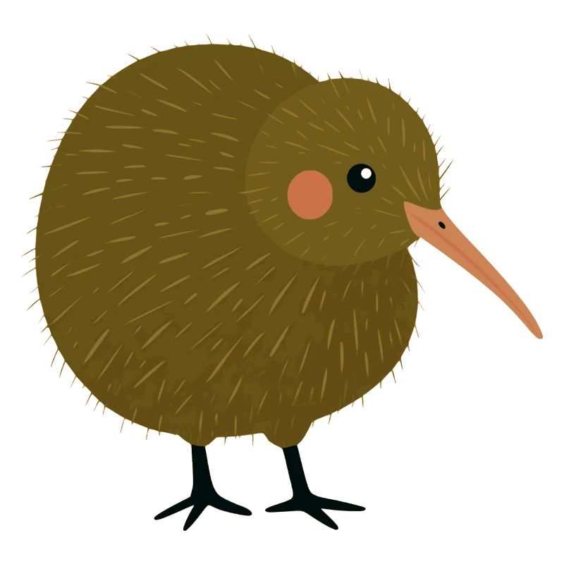 Oiseau kiwi