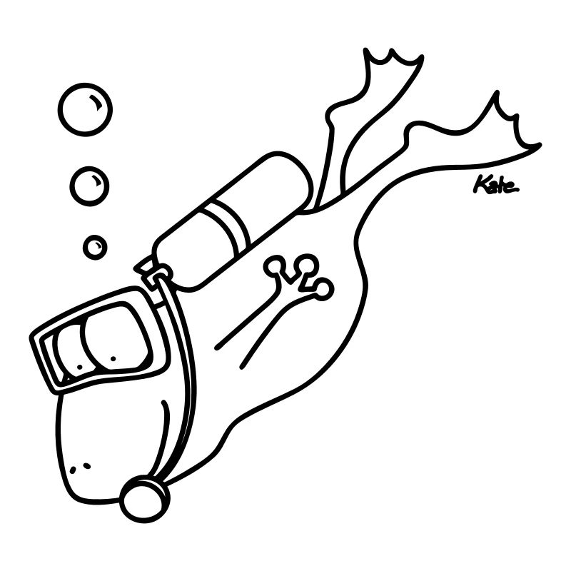 grenouille plongée