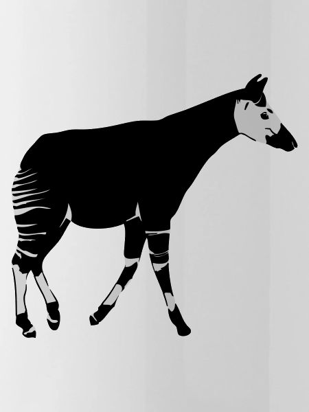 Okapi