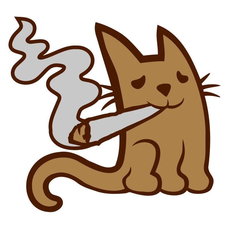 Fumer du pot mignon petit chat