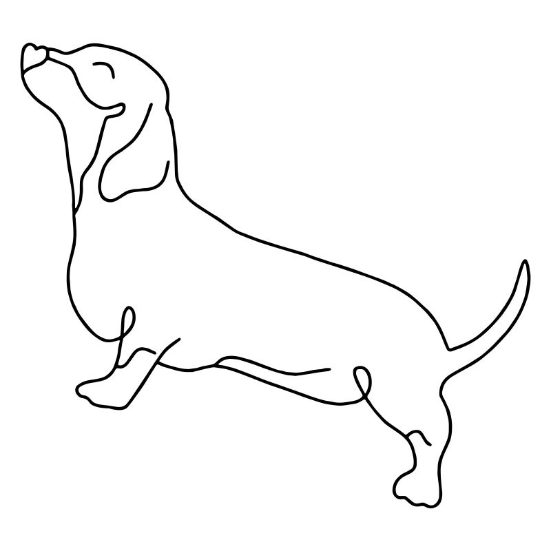 long chien