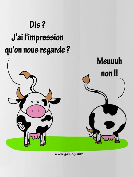 Les vaches
