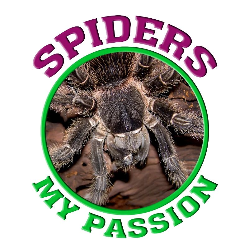 Spinnen / Vogelspinne / Spider / Tarantula