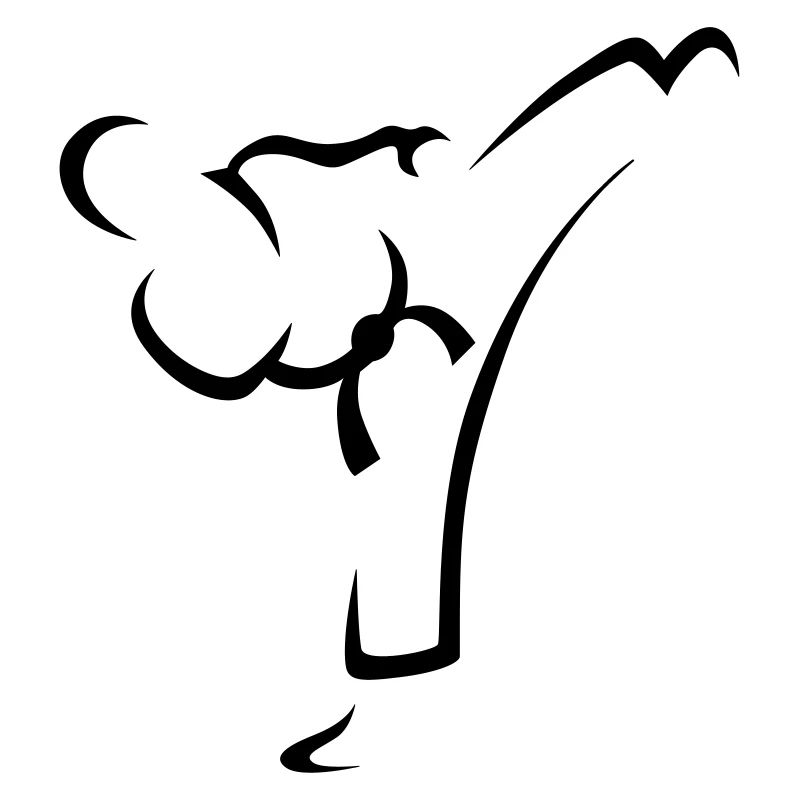 Kick martial arts Taekwondo Karate