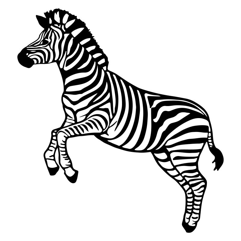 zebra Botswana Plains zebra