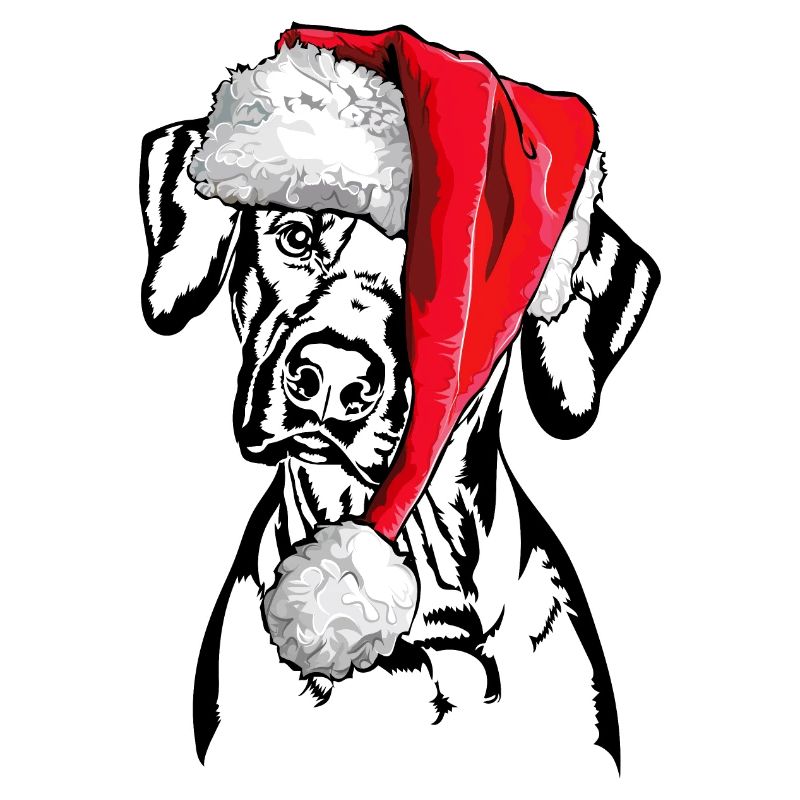 Santa Rhodesian Ridgeback Noël Wilsigns