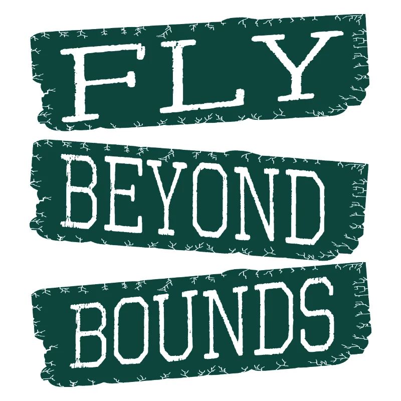 present imaginative minds innovative imagination