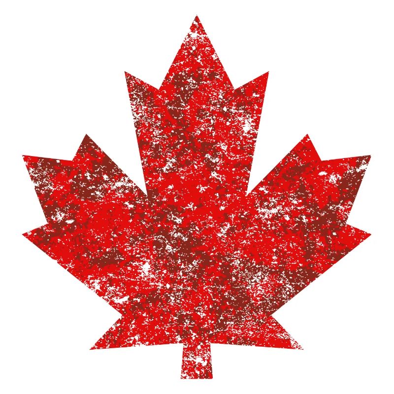 Grunge Feuille Canada Canada Maple Leaf Maple Amérique
