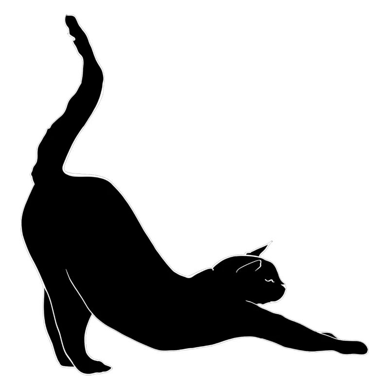 Stretching Katze