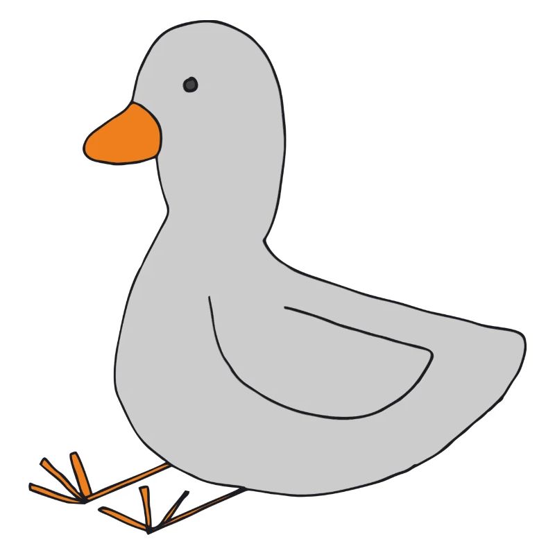 Duck Grey