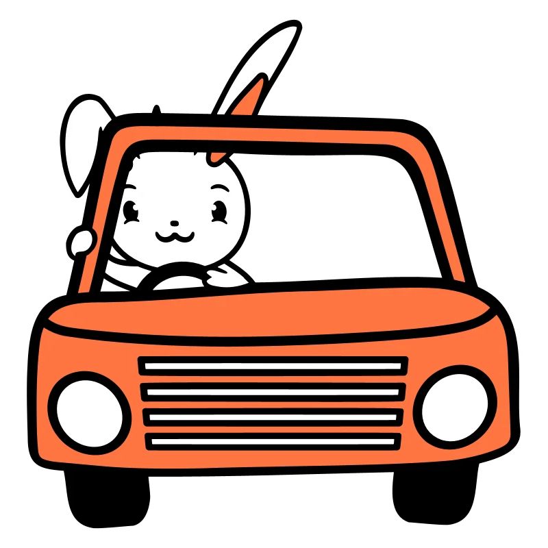 Rabbit Driving Car Driver Driving License Passed