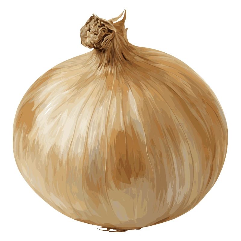oignon
