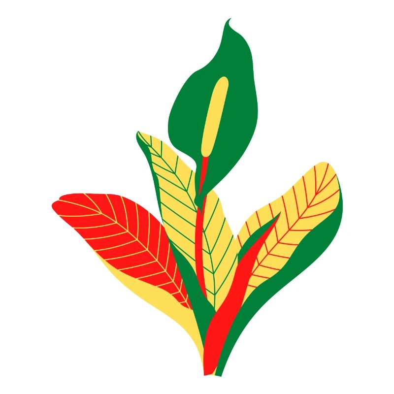 anthurium