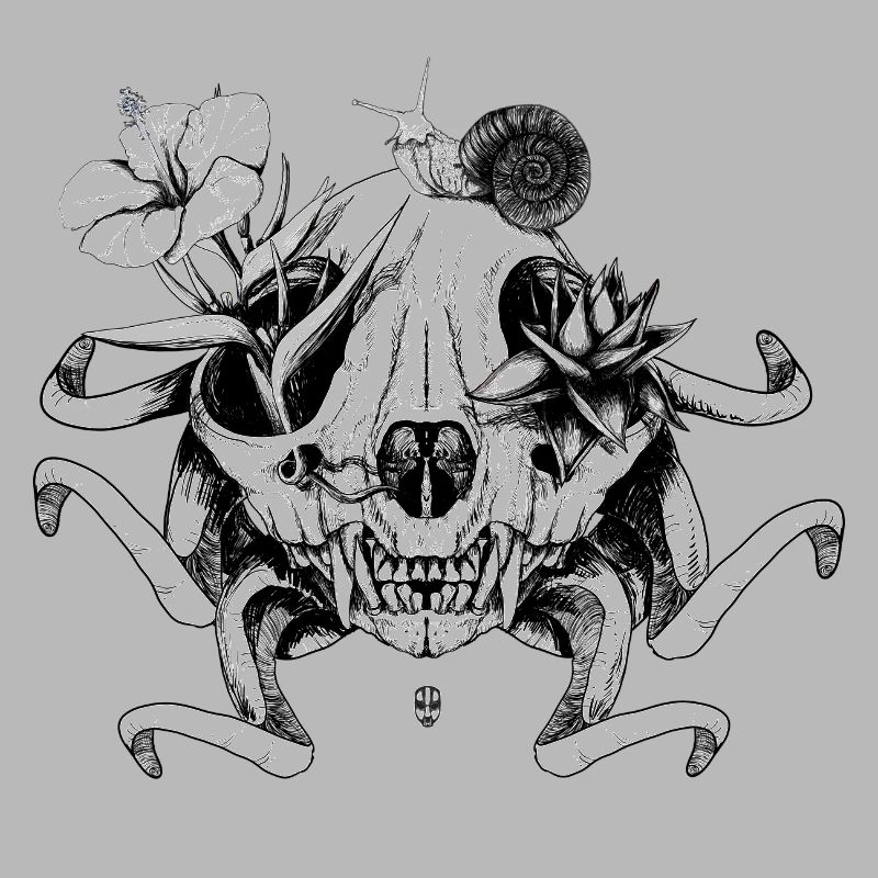Le crâne les fleurs et l'escargot