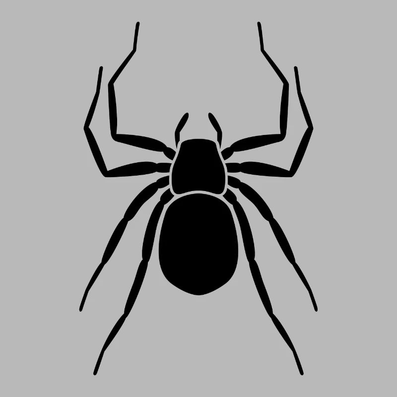 araignée