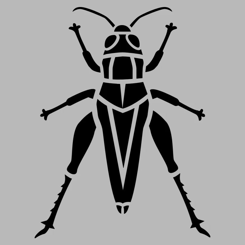 Insect - grasshopper