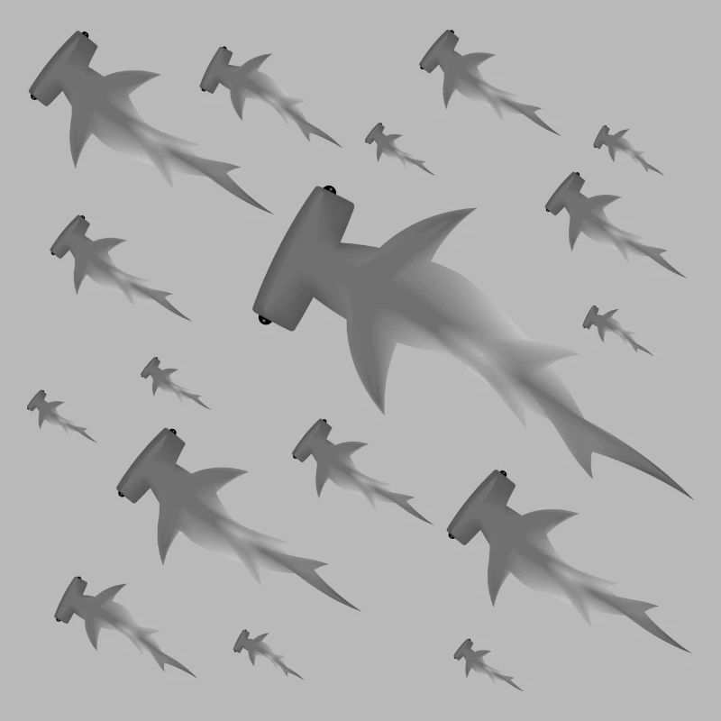 Requins-marteaux