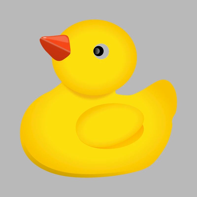 rubber duck