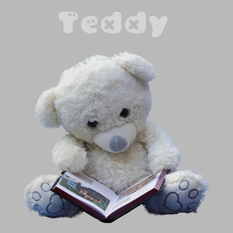 Teddy