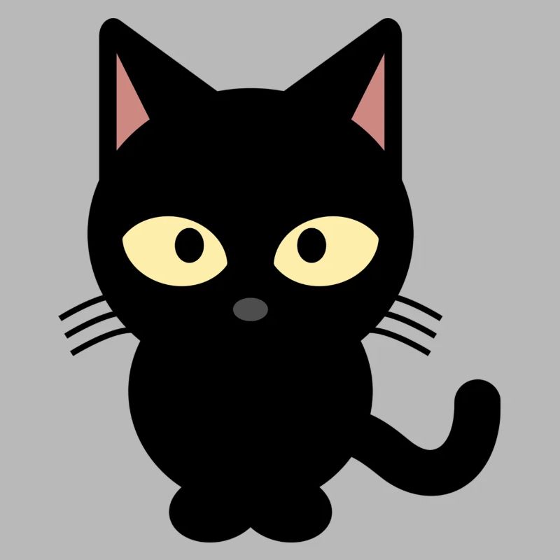 chat noir
