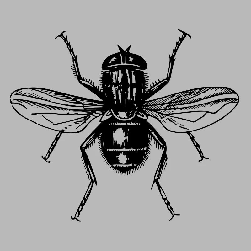 Fly