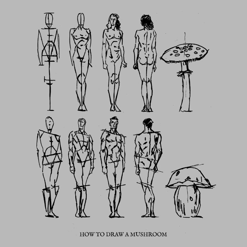 comment dessiner un champignon / champignons / Art