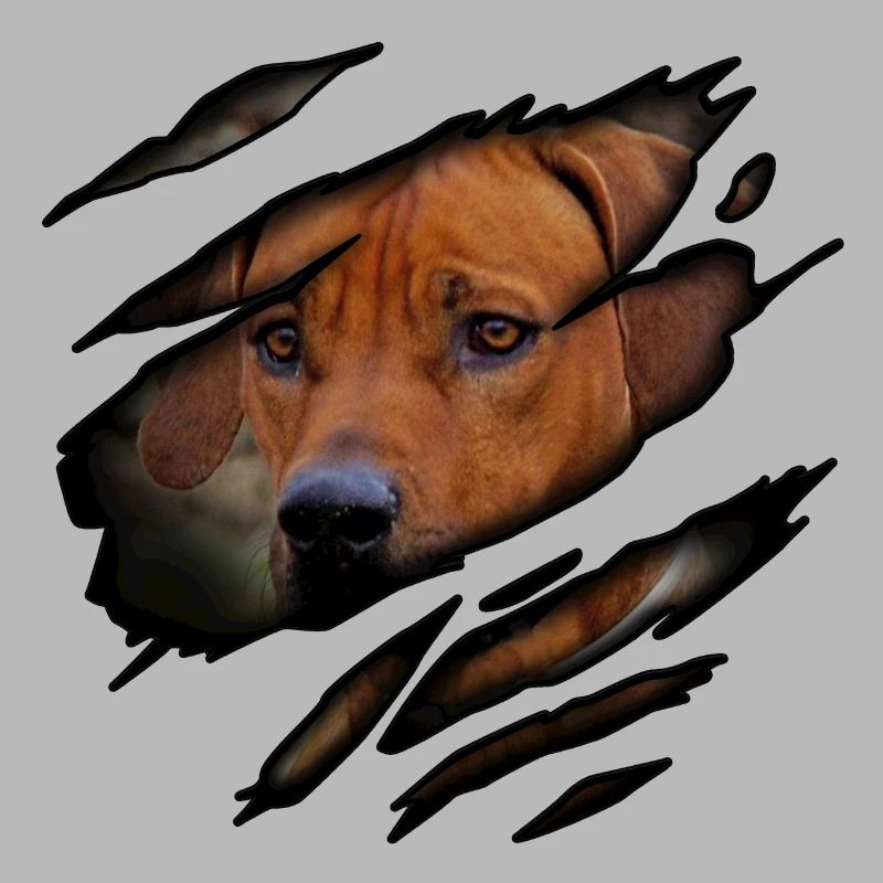Rhodesian Ridgeback in mir
