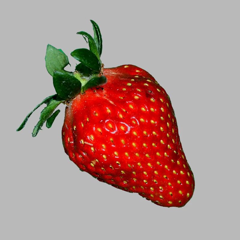 Erdbeere