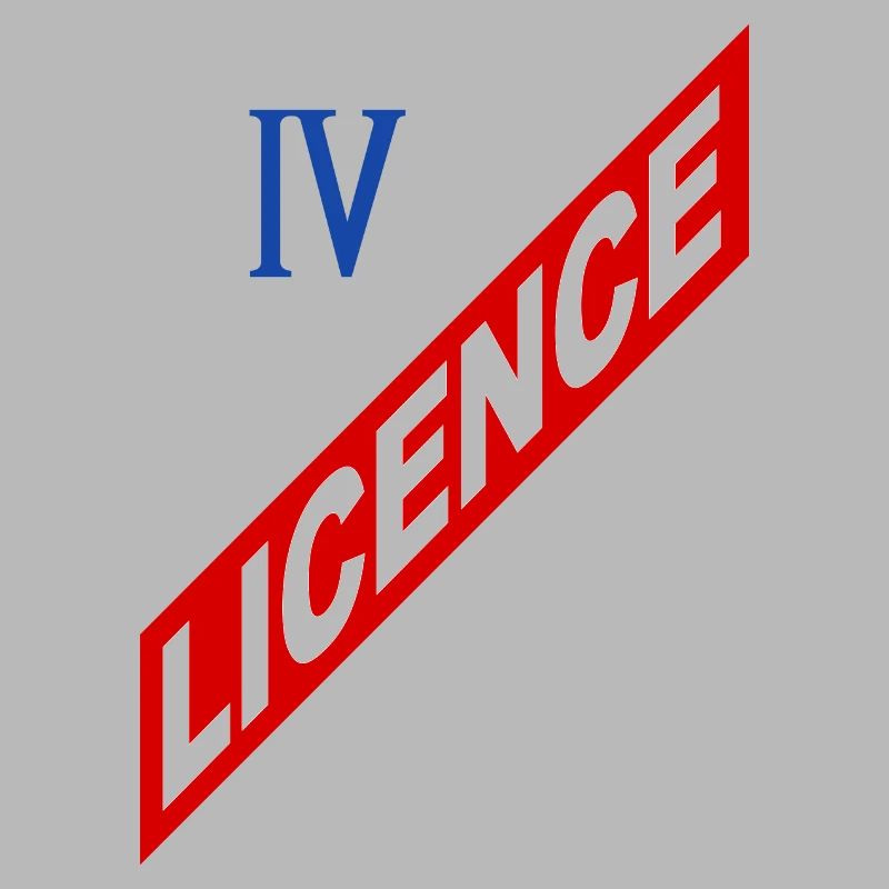 Lizenz 4
