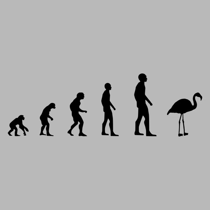 Flamingo – Evolution