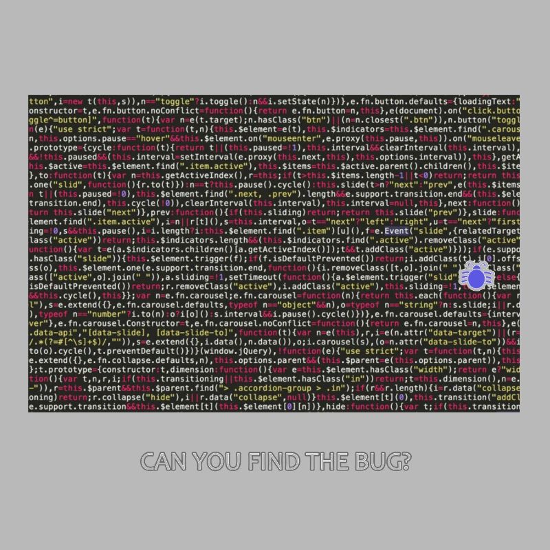Programmeur, codeur, bugs, débogage