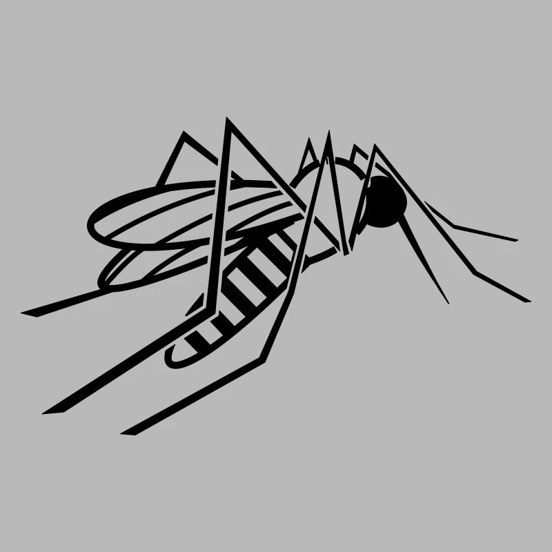 Mosquito mosquito lance fly insect gift