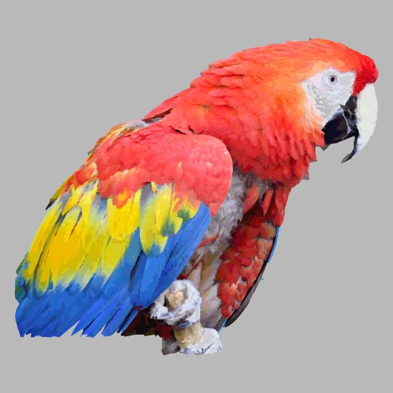 Papagei