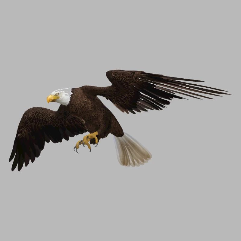 Aigle