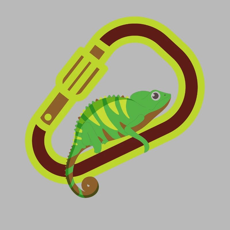 Bouldering, climbing, free climbing Chameleon Boulder