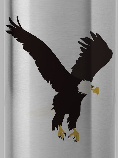 Weisskopfseeadler