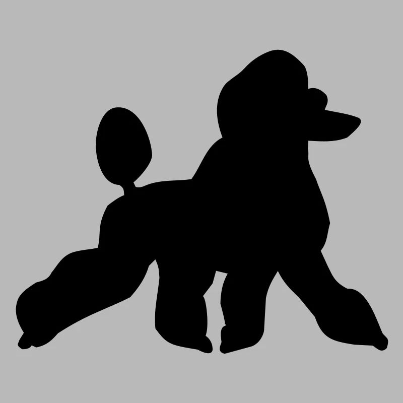 Caniche